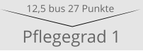 Pflegegrad 1 12,5 bus 27 Punkte